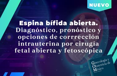 Espina bífida abierta. Diagnóstico, pronóstico y opciones de corrección intrauterina por cirugía fetal abierta y fetoscópica