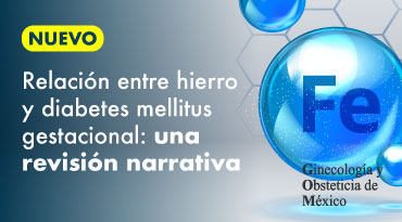 Relación entre hierro y diabetes mellitus gestacional: una revisión narrativa