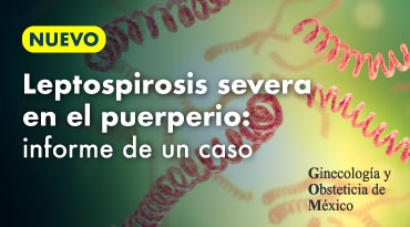Leptospirosis severa en el puerperio: informe de un caso