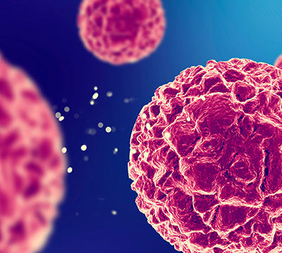 Impacto de Omega 3, L-metilfolato y micronutrientes en la programación neurofetal