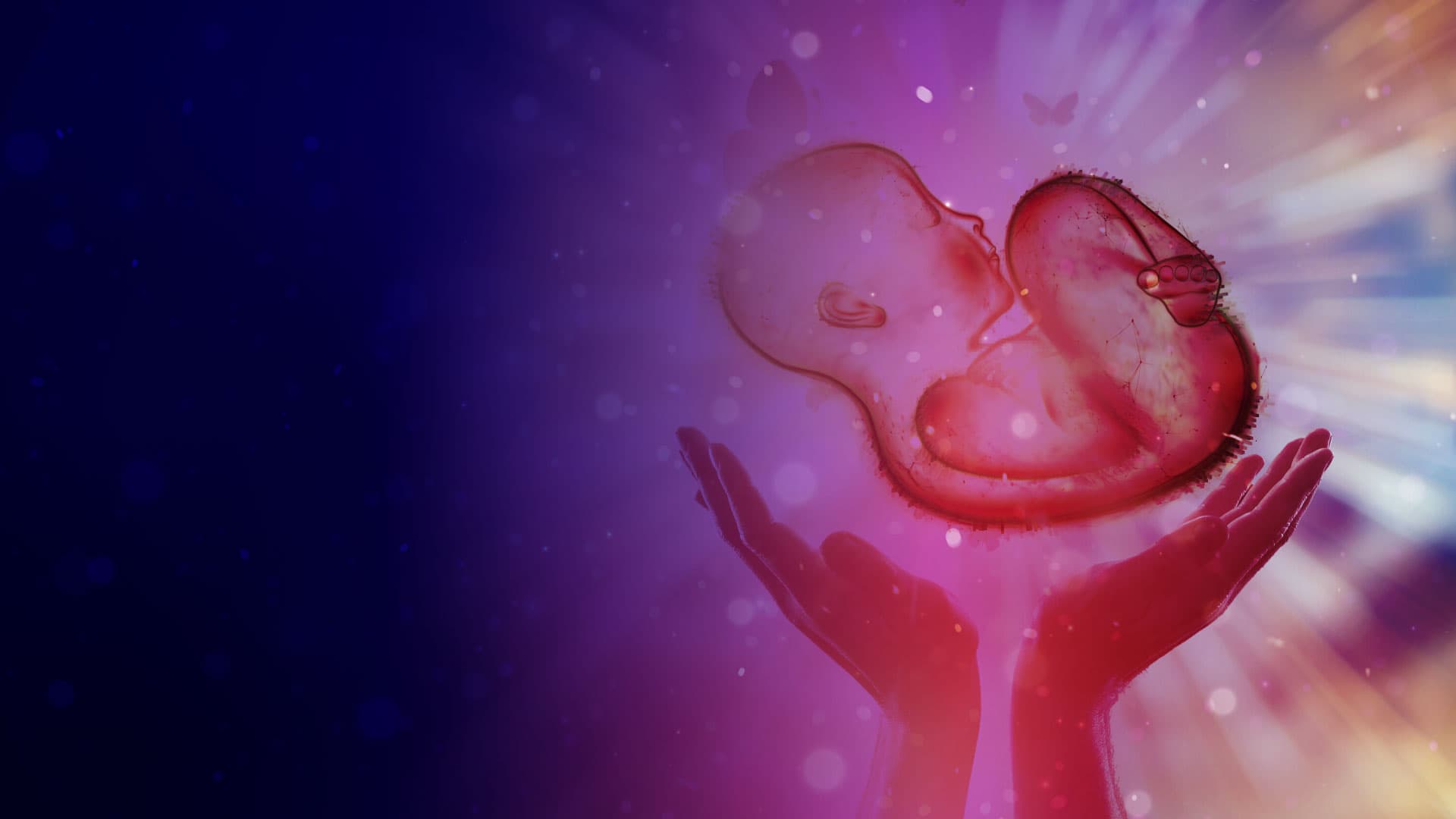 Educación médica continua en reproducción