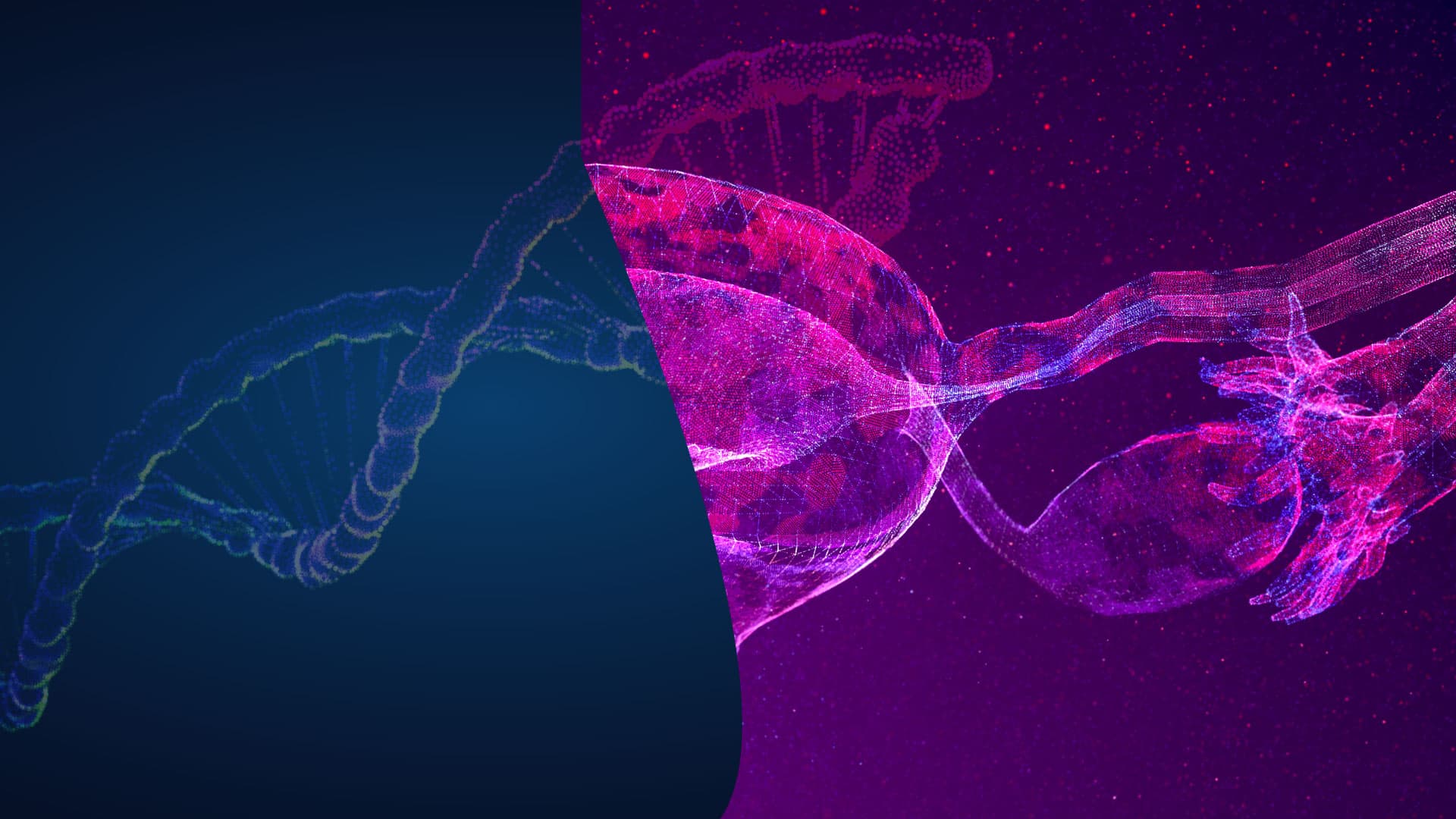 Prevención y Cuidado Integral de la Salud