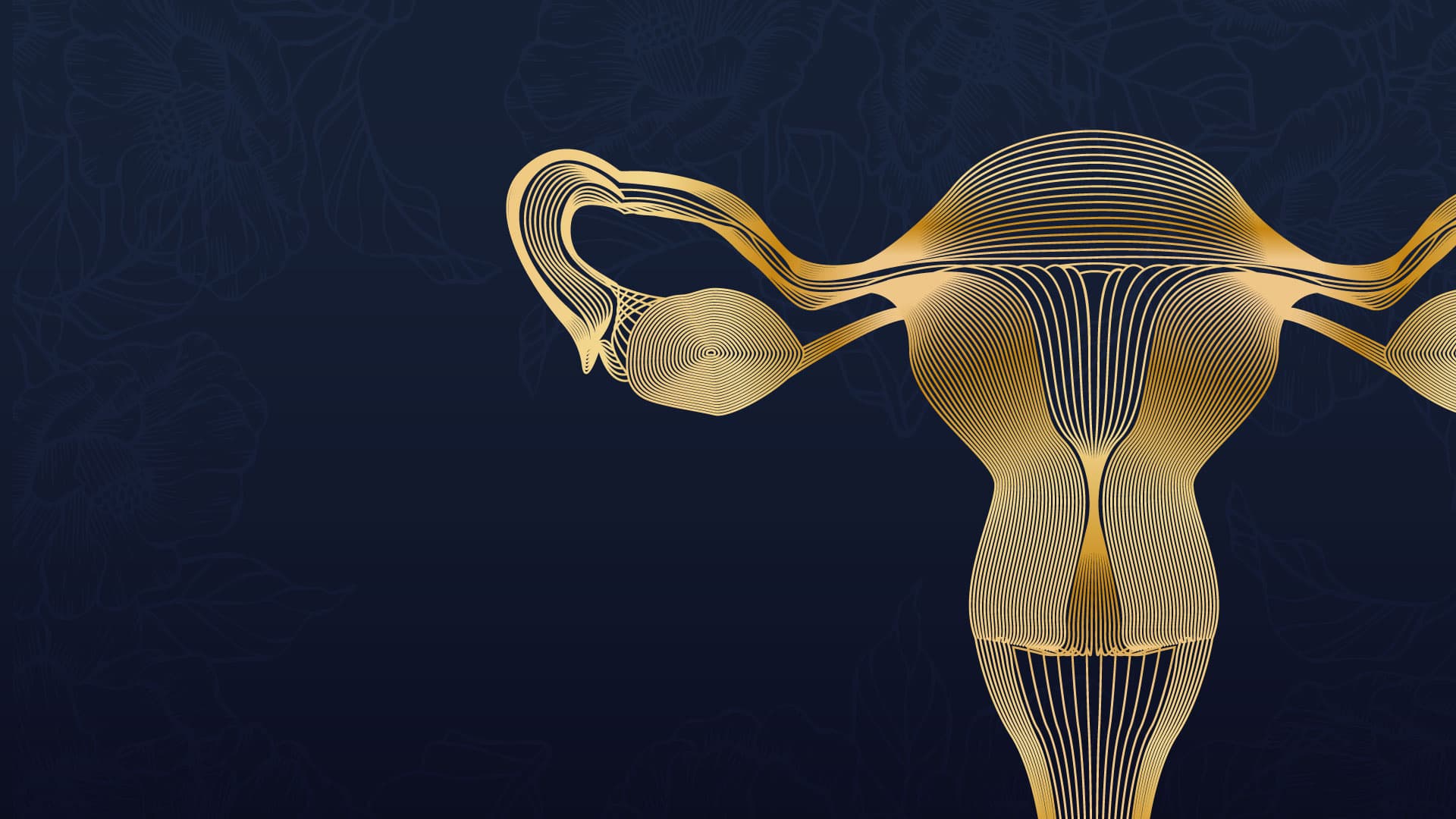 Microbiota vaginal, desafiando el dogma