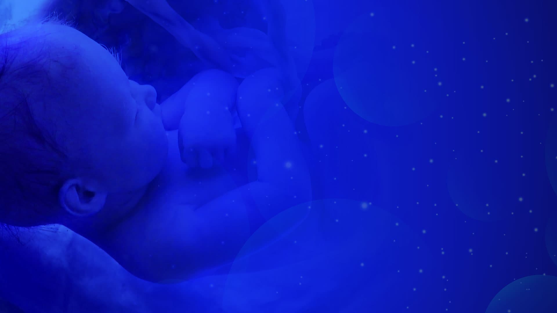 Cuidados de salud Materno-fetal
