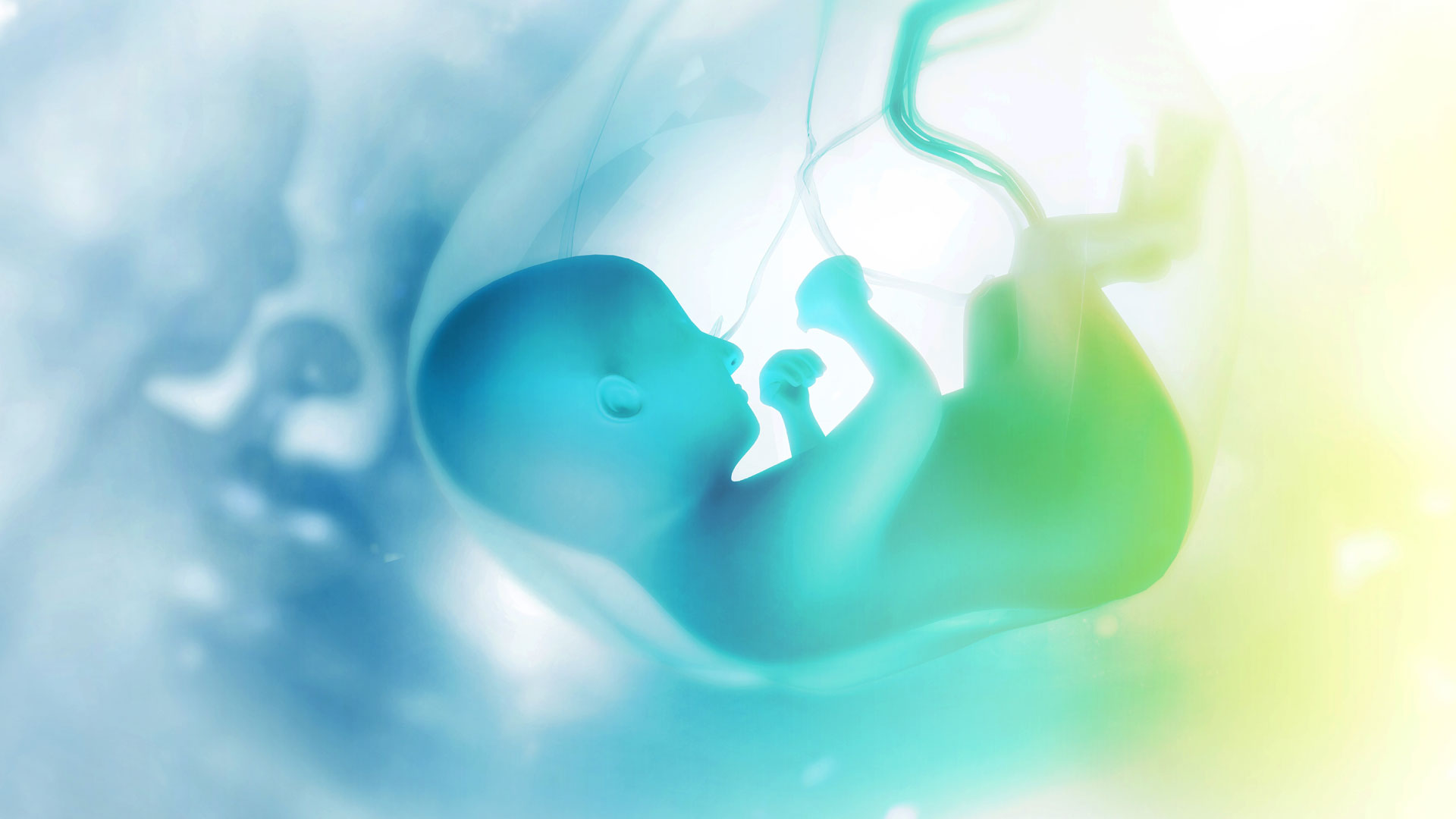 Alteraciones en la microbiota materna y su asociación con trastornos del comportamiento en los bebés