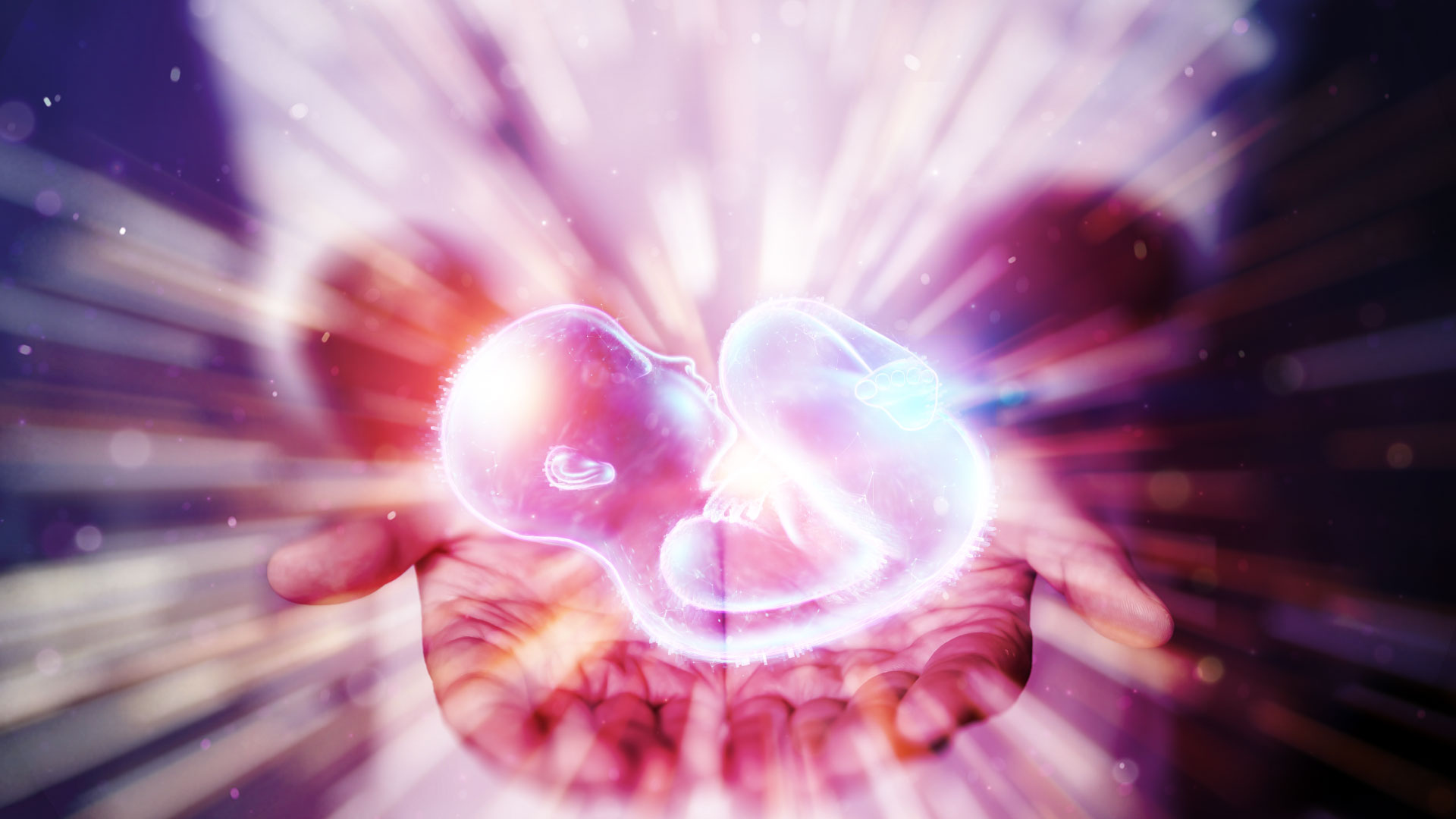 Congreso Regional FIGO 2022