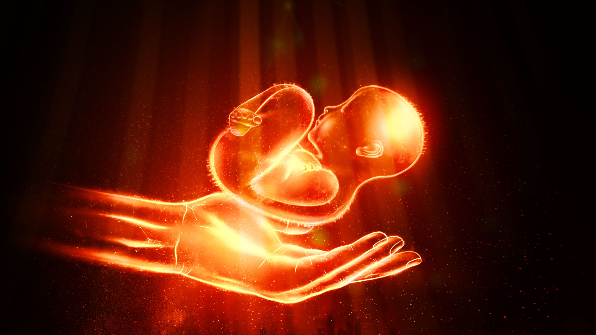 Congreso Nacional Virtual FEMECOG