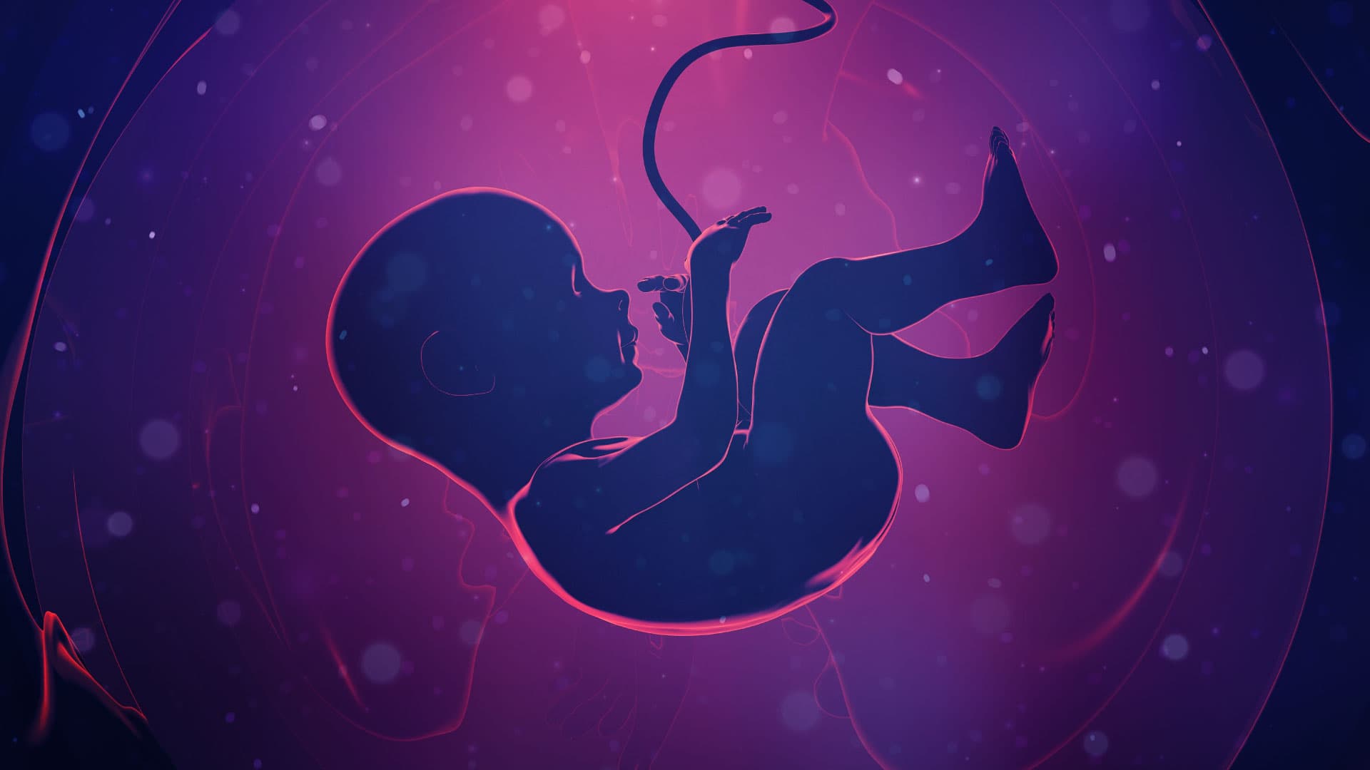 Una nueva alternativa para la prevención de la Ruptura Prematura de Membranas