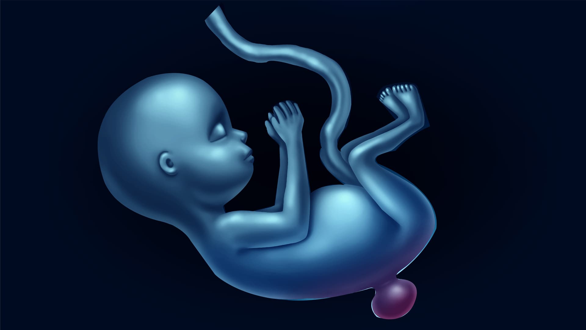 Facilitando la prevención de Defectos de Tubo Neural