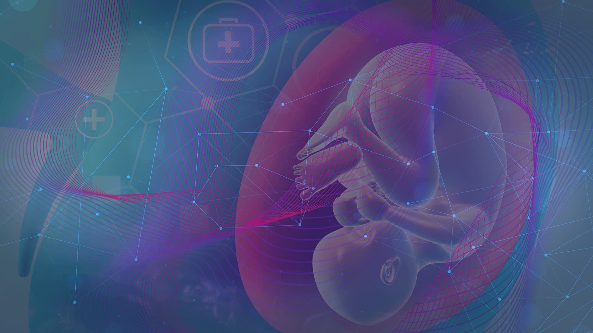 Facilitando la prevención de Defectos de Tubo Neural