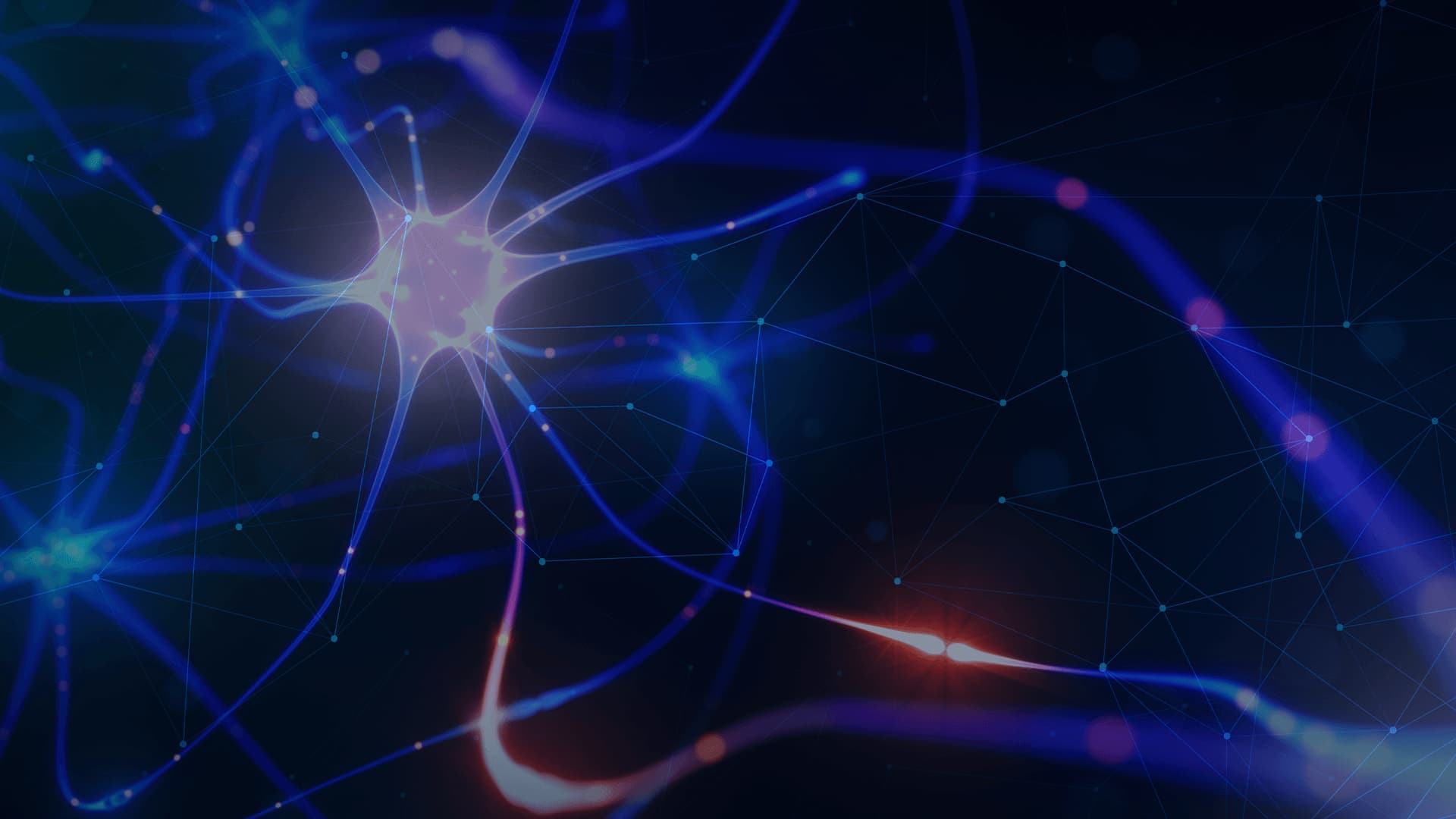 Epigenética, Neurogénesis y Nutrigenómica: metabólica e inflamación