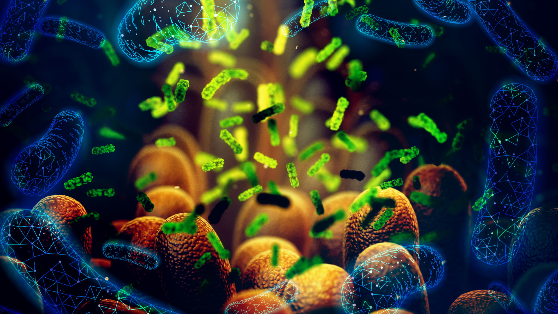 Microbiota vaginal y su importancia en la prevención de infecciones urinarias recurrentes