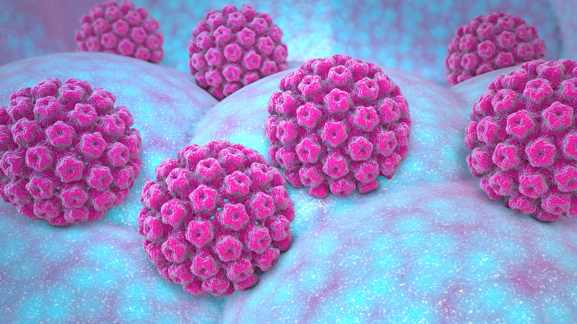 Papel de la Disbiosis Vaginal en la persistencia y progresión de lesiones por VPH