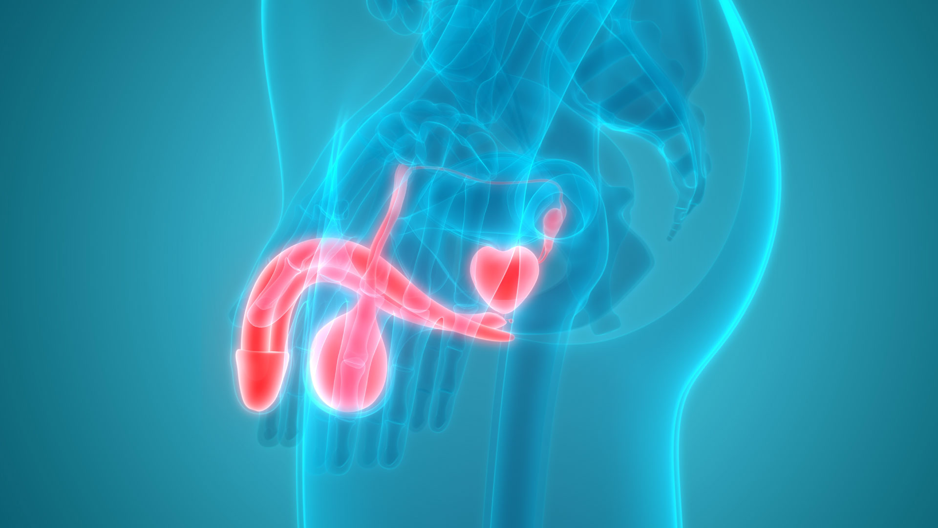 Uso de Myoinositol oral en la infertilidad masculina