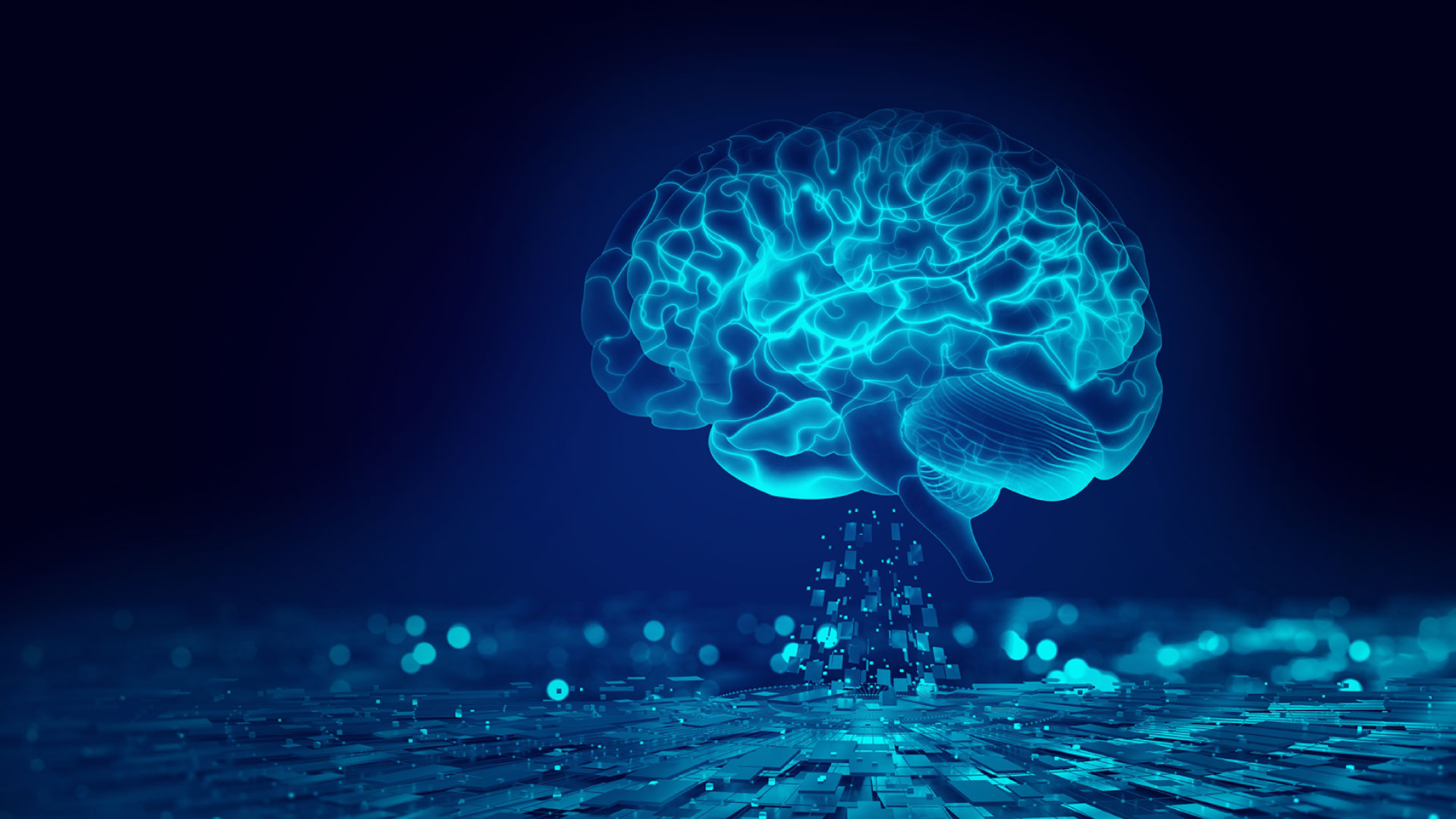 Epigenética, Neurogénesis y Nutrigenómica