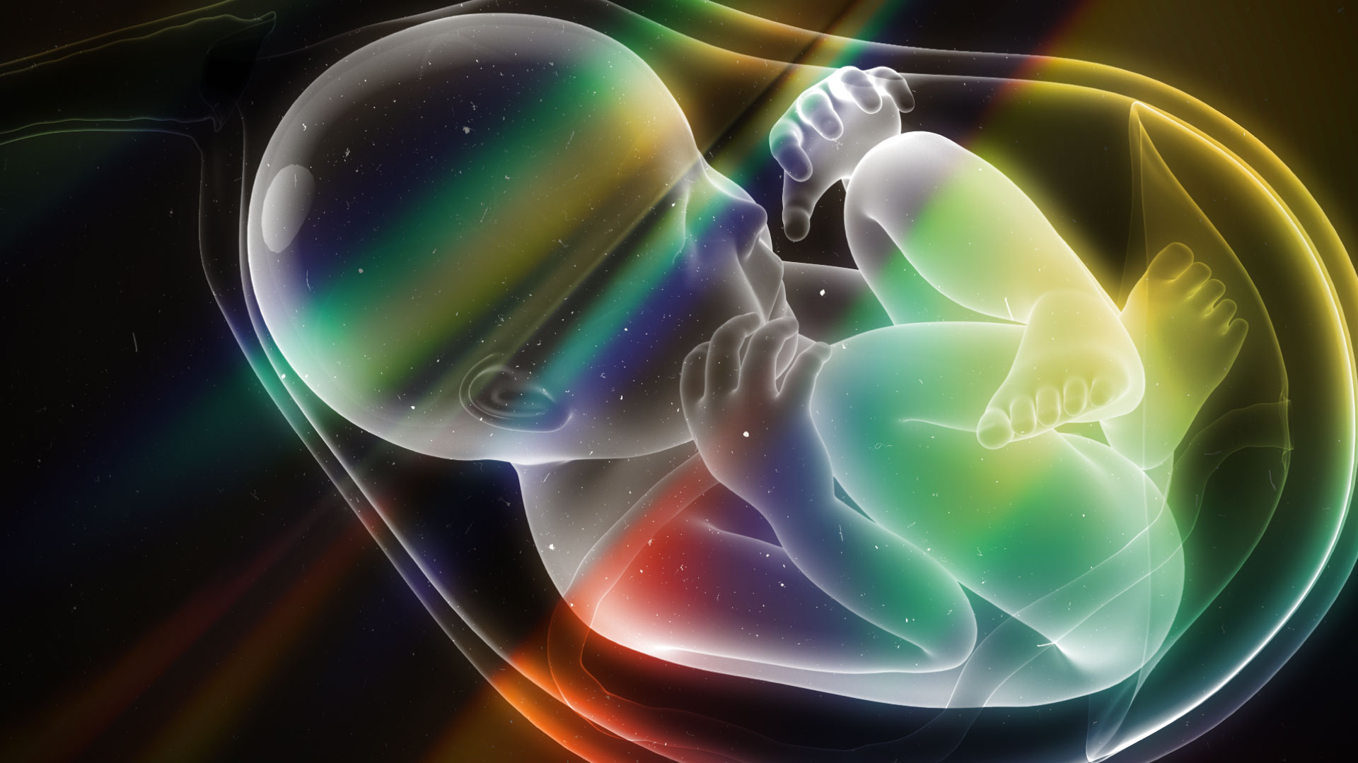 Impacto de los 1000 días en el neurodesarrollo fetal con L metifolato y Omega 3